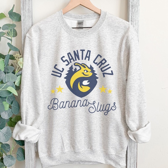 Vintage UC SANTA CRUZ sweatshirt in classic gray oversized *multiple sizes - Picture 1 of 3